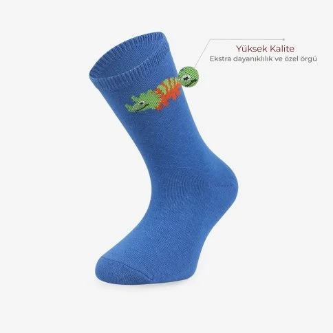 Bolero 3'lü Erkek Çocuk Desenli Soket Çorap - C08