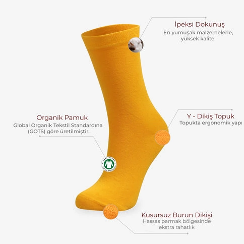 Bolero Kadın 2'li Organik %100 Pamuk Çorap Turkuaz Sarı