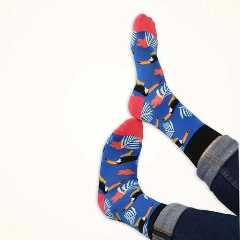 Colorcool Bird Socks