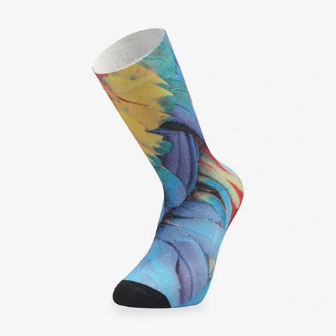 Colorcool Çok Renkli Baskılı Çorap Parrot