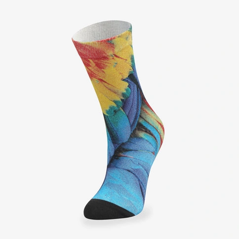 Colorcool Çok Renkli Baskılı Kadın Çorap Parrot