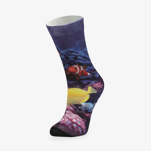 Colorcool Kadın Renkli Baskılı Çorap Sea