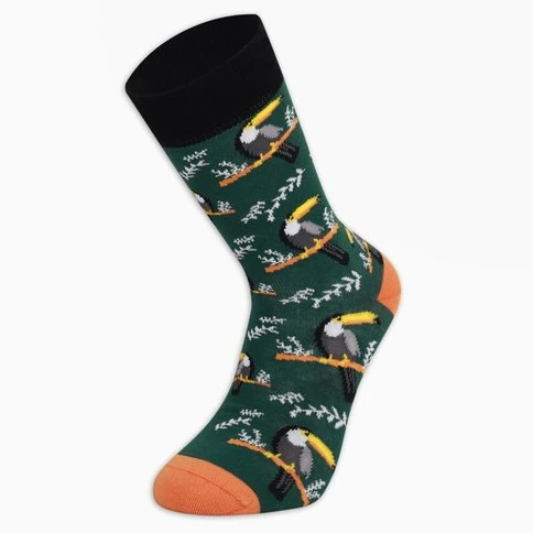 Colorcool Men's Bird Socks
