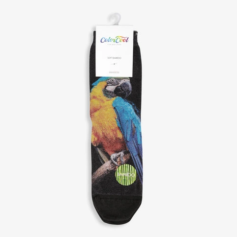 Colorcool Siyah Renkli Baskılı Kadın Çorap Parrot