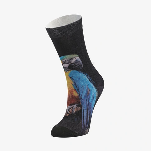 Colorcool Siyah Renkli Baskılı Kadın Çorap Parrot